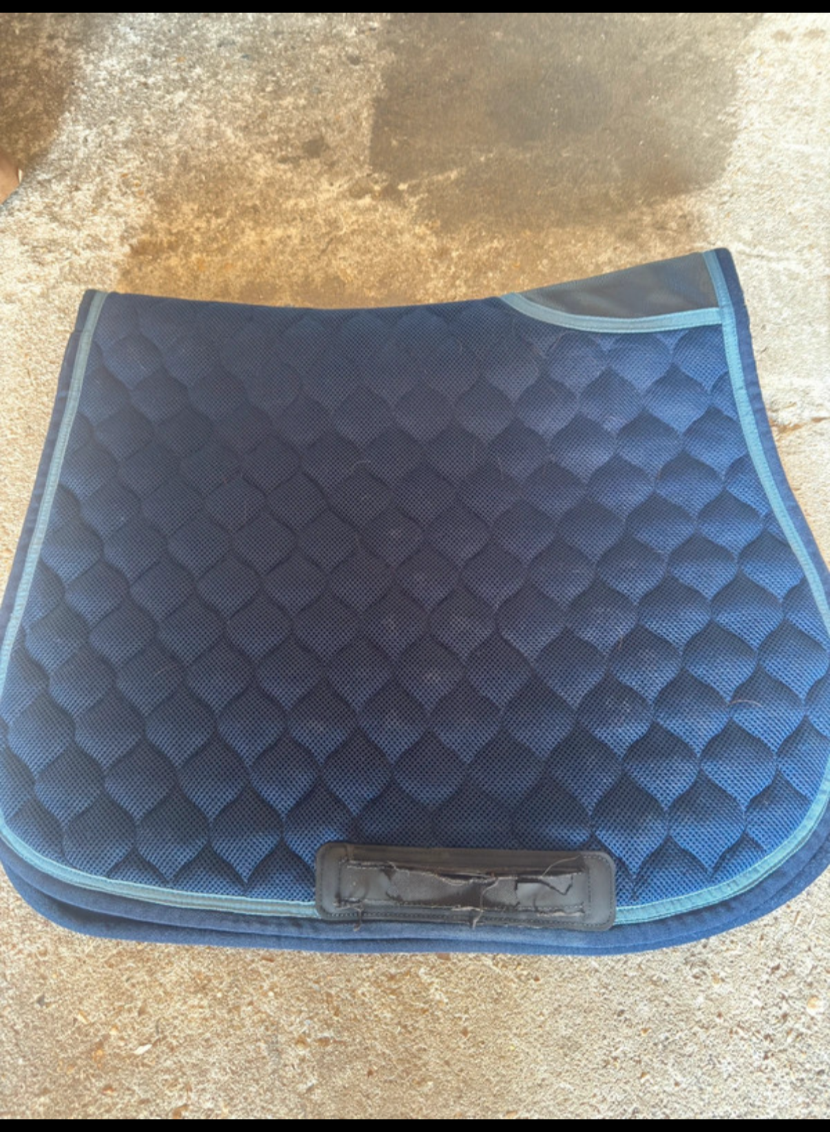Tapis de selle • équipement pour cheval