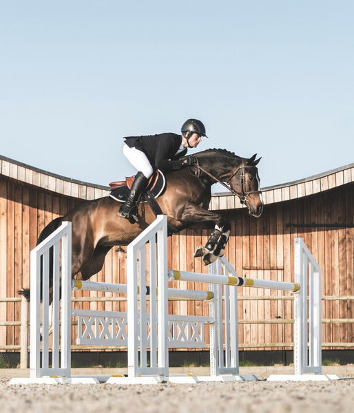 Aerotech • Veste concours équitation homme