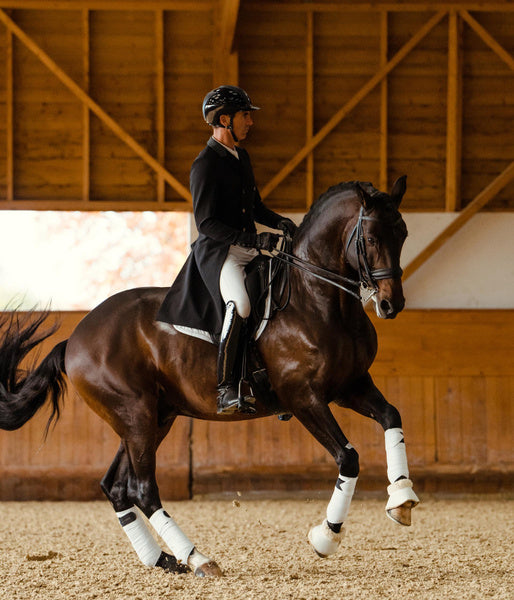 FRAC de dressage • Veste d'équitation Homme