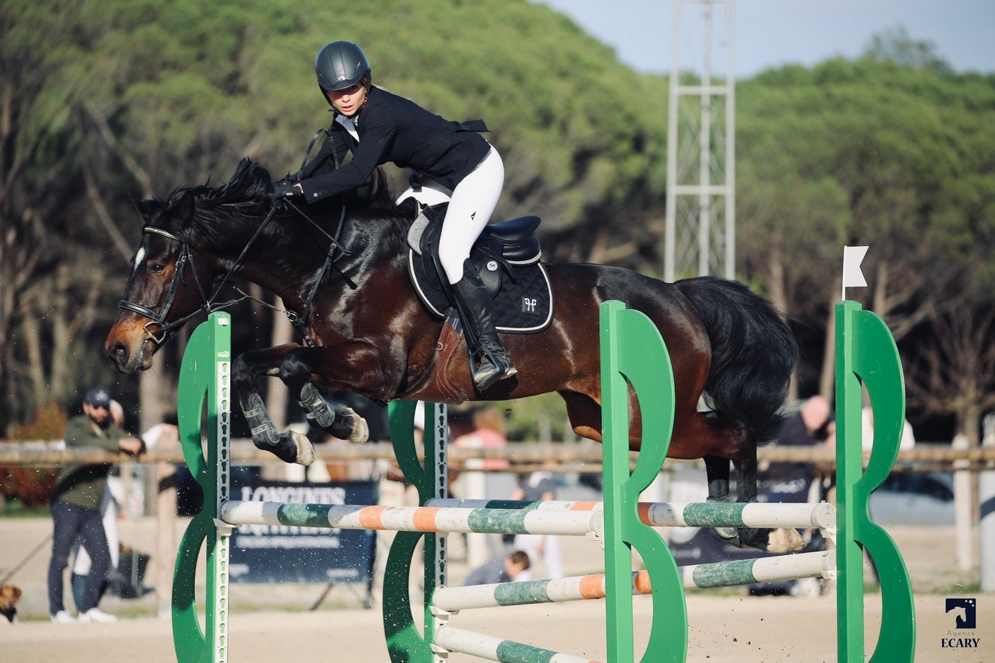 SADDLE PAD • Tapis de selle & équipement pour cheval